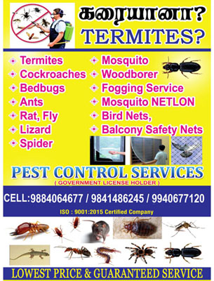Pest Control Services in chennai