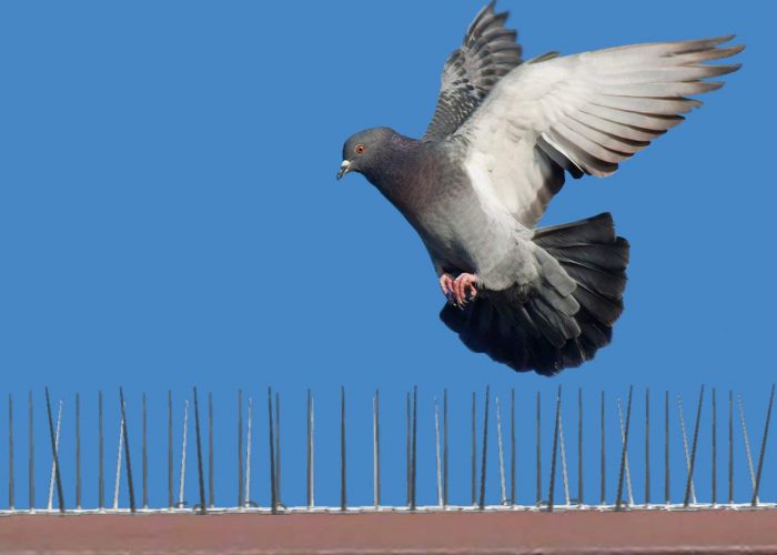 Pigeon Spikes Manufacturers In Chennai